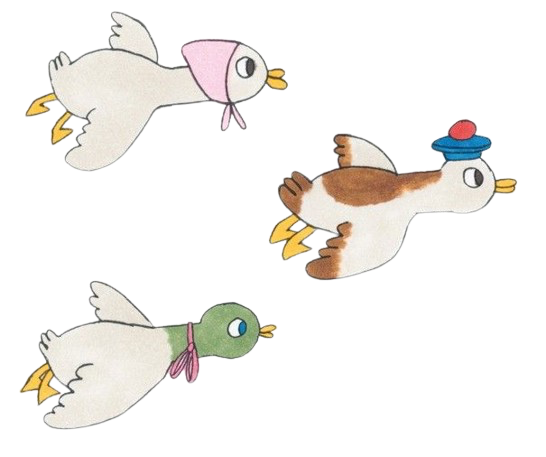 displays picture of cute ducks